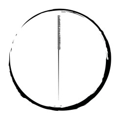 Plaschypunktur Logo Dao mit Nadel